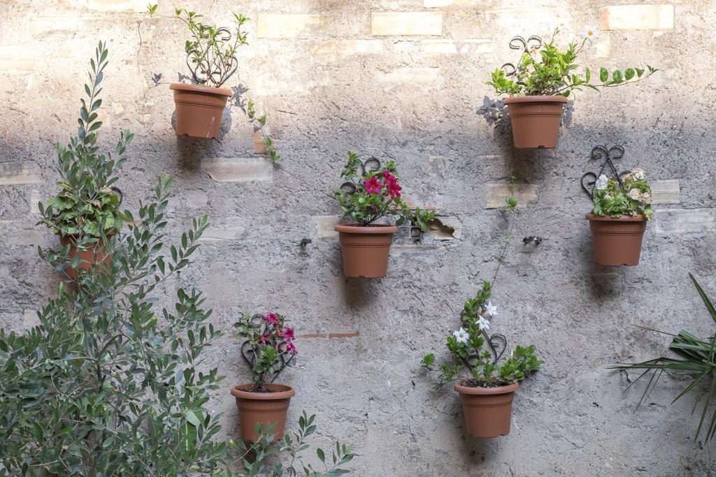 Colosseum Garden Rome Exterior photo
